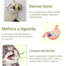 PetzCore™ Abacate Catnip Interativo para Gatos