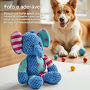 PetzCore™ Pelúcia Interativa com Apito para Cães | Mordedor Resistente para Filhotes e Adultos