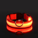 PetzCore™ Coleira LED Recarregável para Cães | Segurança em Passeios Noturnos