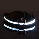PetzCore™ Coleira LED Recarregável para Cães | Segurança em Passeios Noturnos