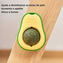 PetzCore™ Abacate Catnip Interativo para Gatos