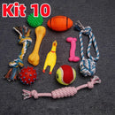 PetzCore™ Kit Brinquedos Interativos para Cães 6 ou 10 Peças