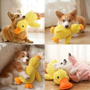 Brinquedo pato de pelúcia com som para cães