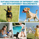PetzCore™ Kit Brinquedos Interativos para Cães 6 ou 10 Peças