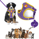 PetzCore™ Peitoral Colete com Guia para Cães e Gatos