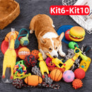 PetzCore™ Kit Brinquedos Interativos para Cães 6 ou 10 Peças