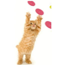 PetzCore™ Lançador de Discos para Gatos | Brinquedo Interativo com 15 Discos de Espuma